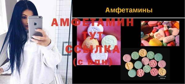 гидра Алексеевка